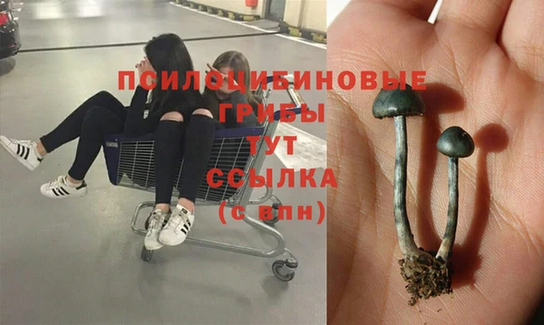 мяу мяу кристалл Белоозёрский
