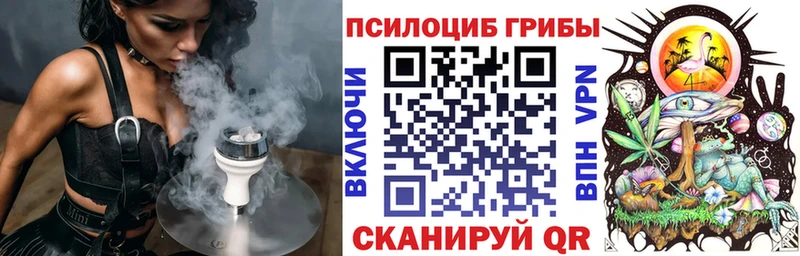 Купить  Сланцы  Псилоцибиновые грибы Psilocybine cubensis 