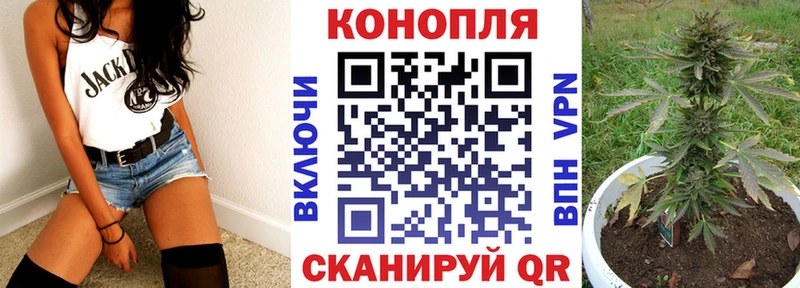 Купить  Сланцы  Канабис VHQ 